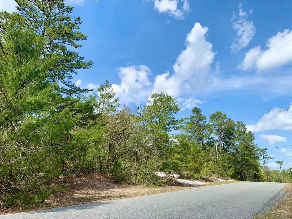 41731 Locust Street Eustis FL 32736 - LAKE NORRIS G5066231 image1