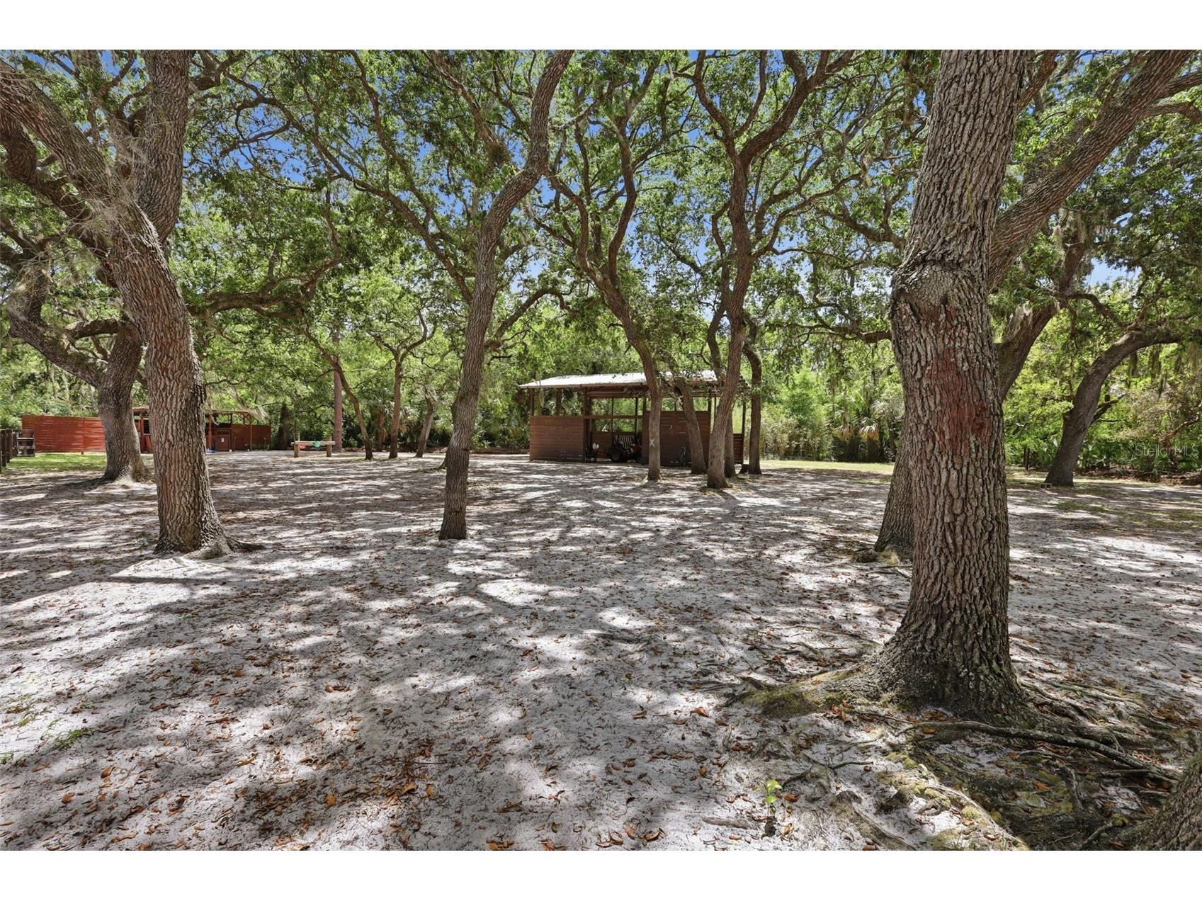 41736 Apollo Lane Deland FL 32720 O6399427 image42