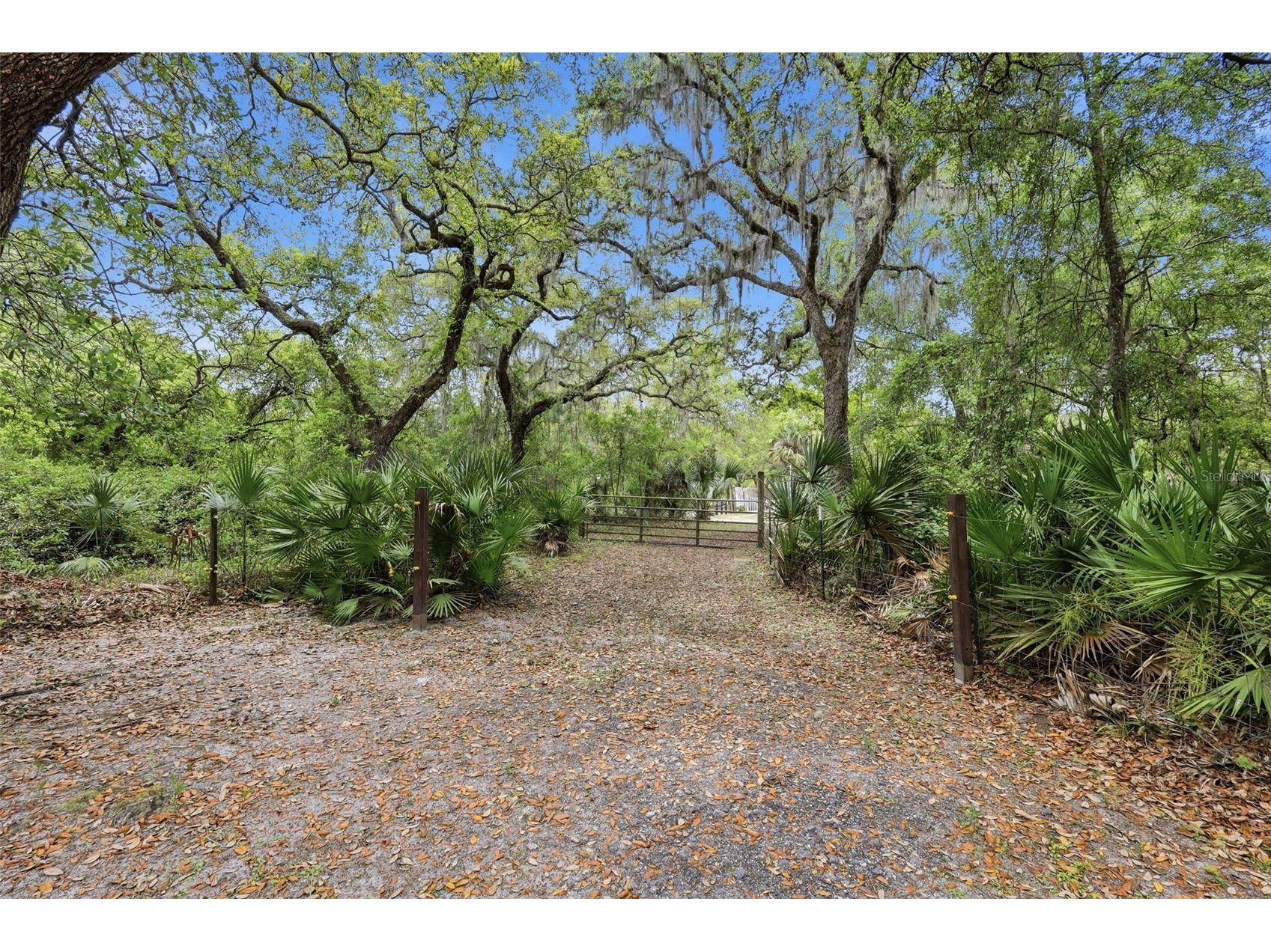41736 Apollo Lane Deland FL 32720 O6399427 image7