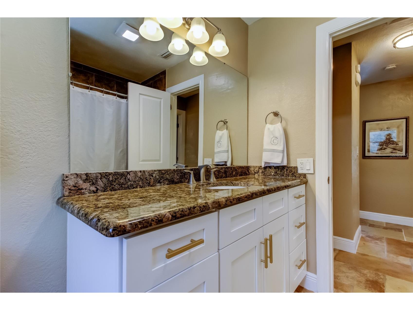 4174 14th Lane NE Saint Petersburg FL 33703 TB8510742 image9