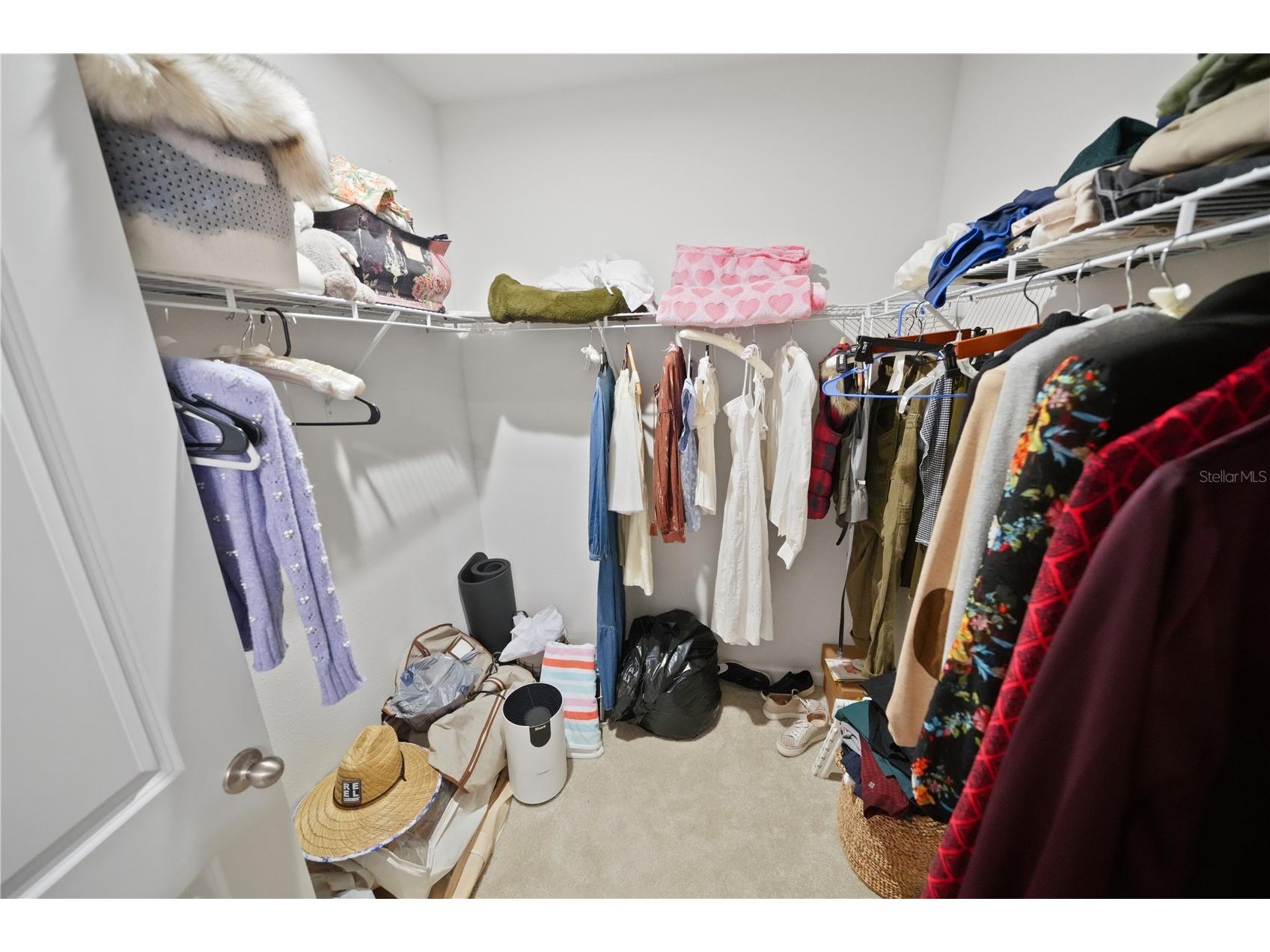 4175 Harbour Palm Drive Holiday FL 34691 TB8489192 image8