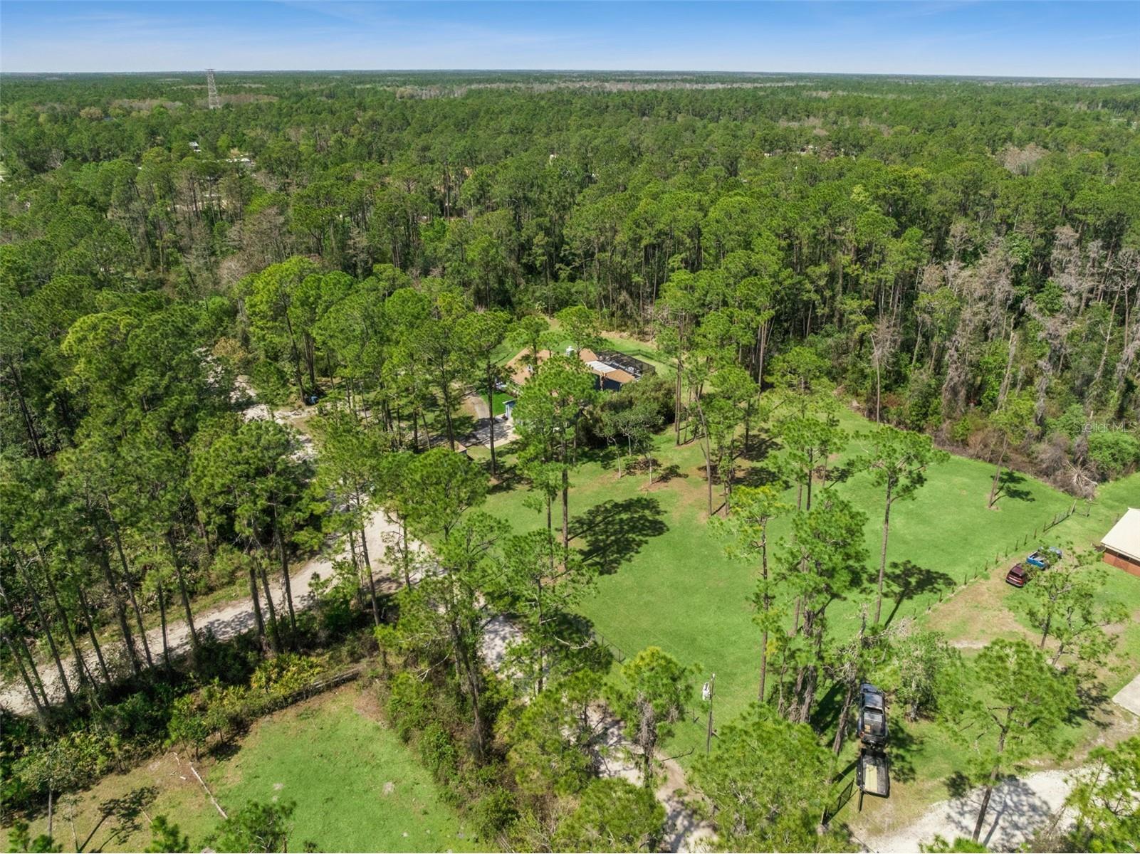 4175 Quail Nest Lane New Smyrna Beach FL 32168 O6392403 image41