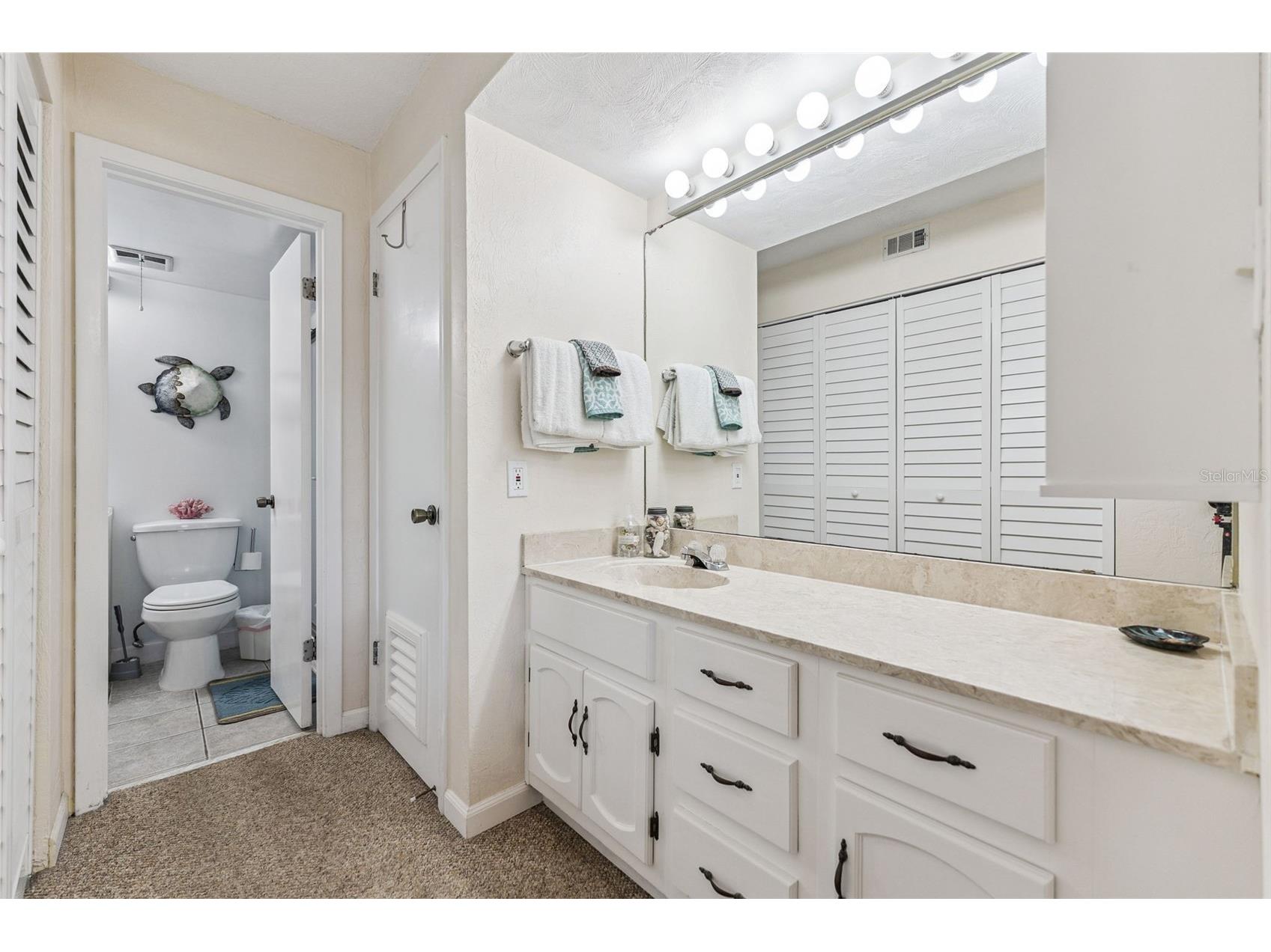 4175 S Atlantic Avenue #509 New Smyrna Beach FL 32169 NS1087388 image23