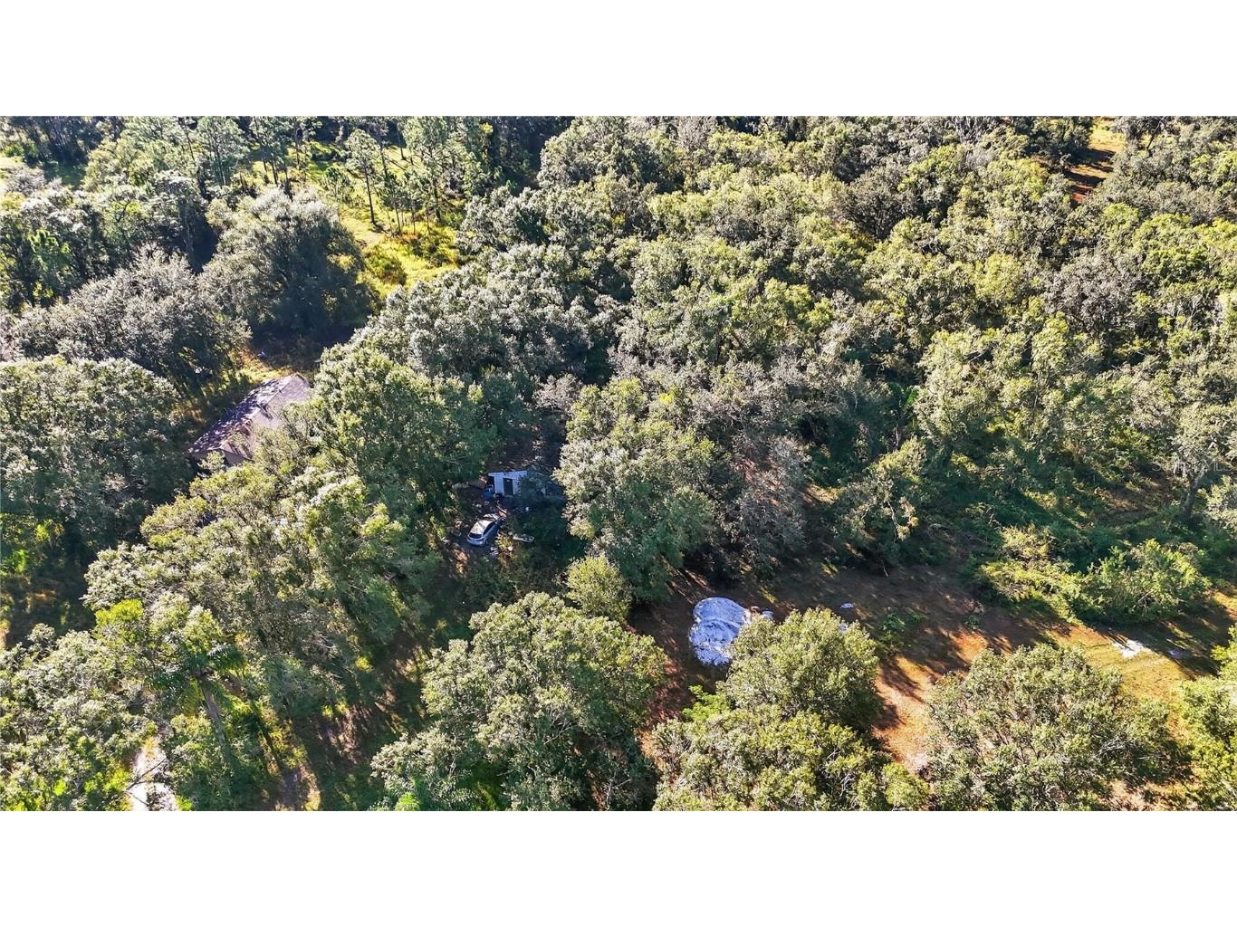 41750 State Road 64 E Myakka City FL 34251 O6364957 image12