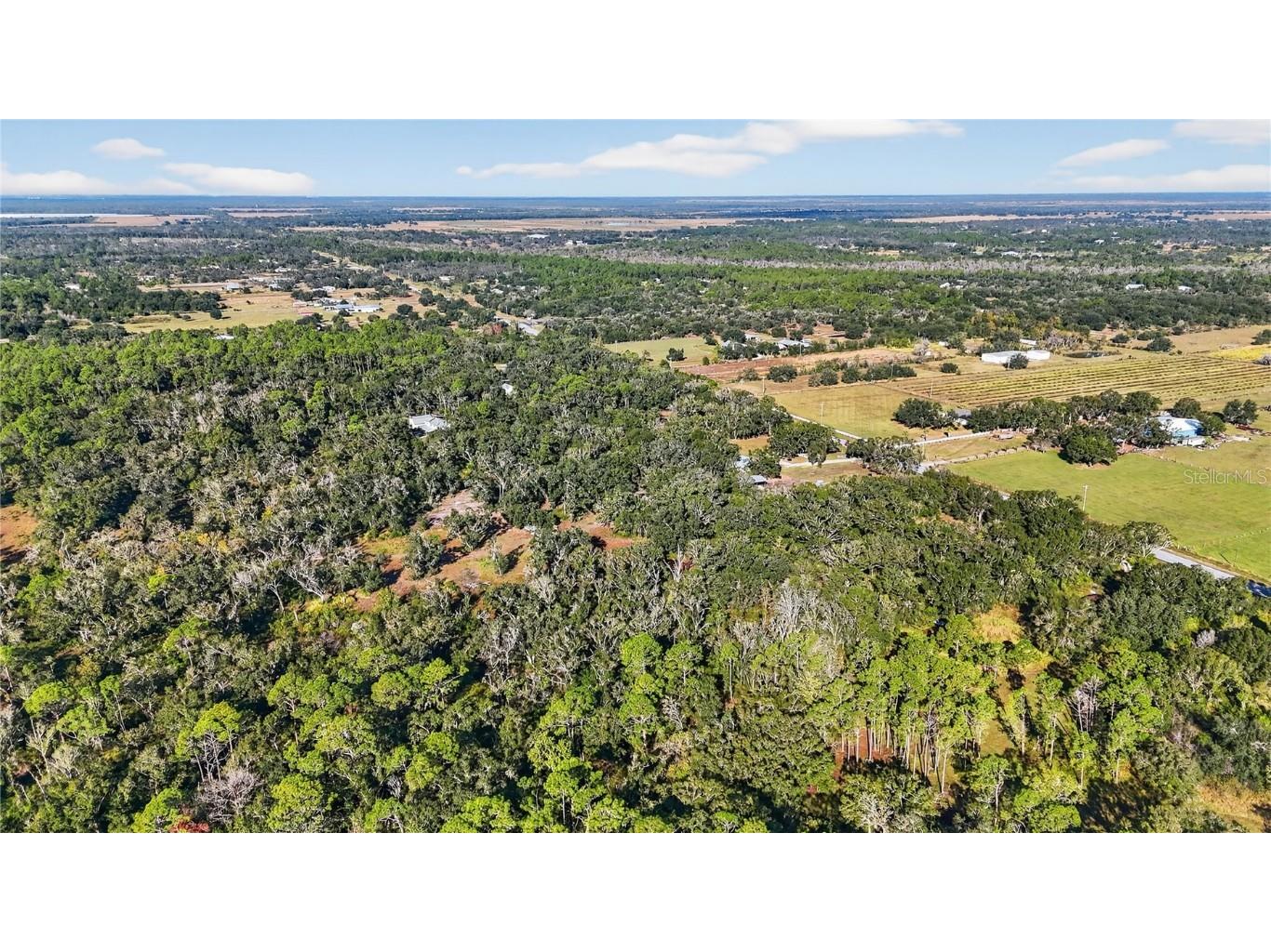 41750 State Road 64 E Myakka City FL 34251 O6364957 image13