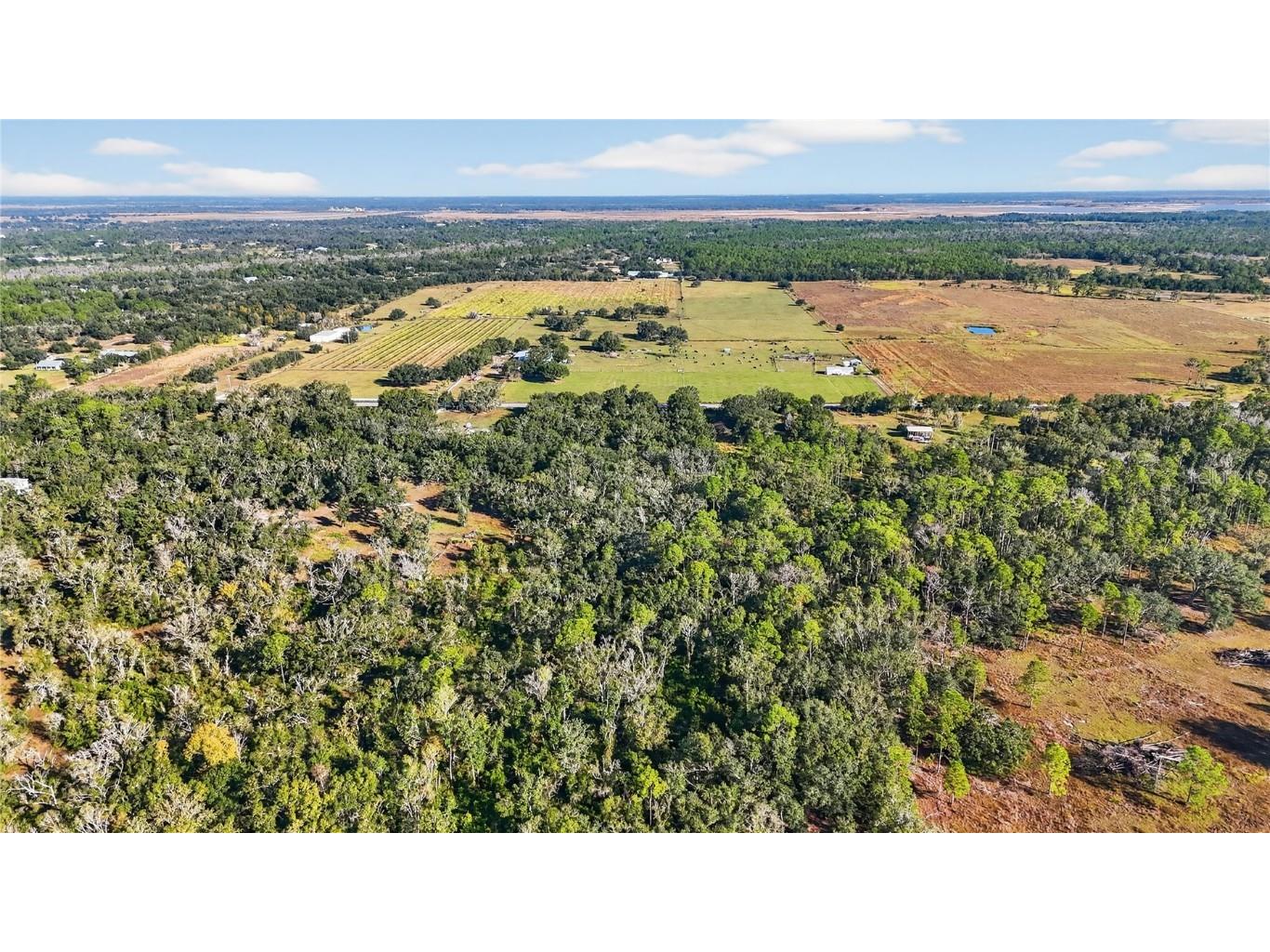 41750 State Road 64 E Myakka City FL 34251 O6364957 image16