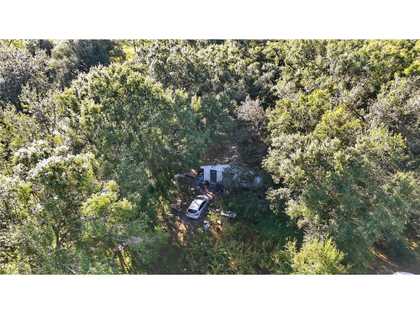 41750 State Road 64 E Myakka City FL 34251 O6364957 image6