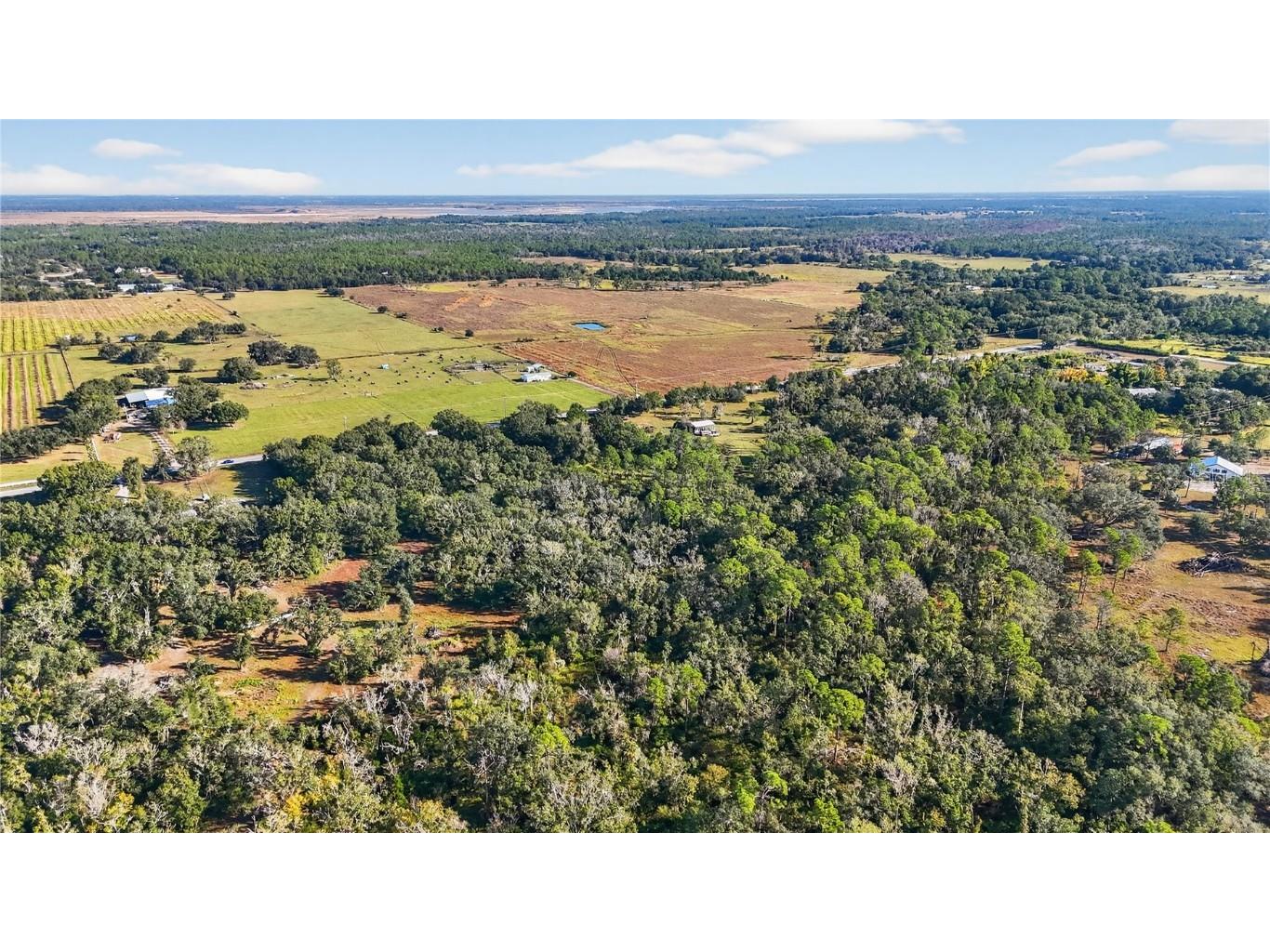 41750 State Road 64 E Myakka City FL 34251 O6364957 image7