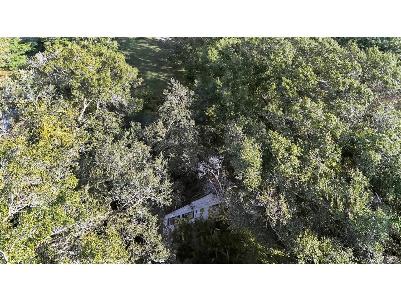 41750 State Road 64 E Myakka City FL 34251 O6364957 image8