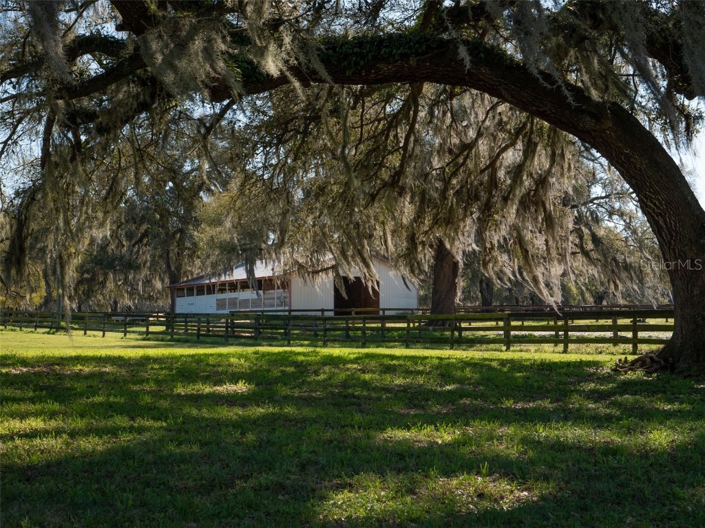 4179 NW 110th Avenue Ocala FL 34482 OM673232 image1