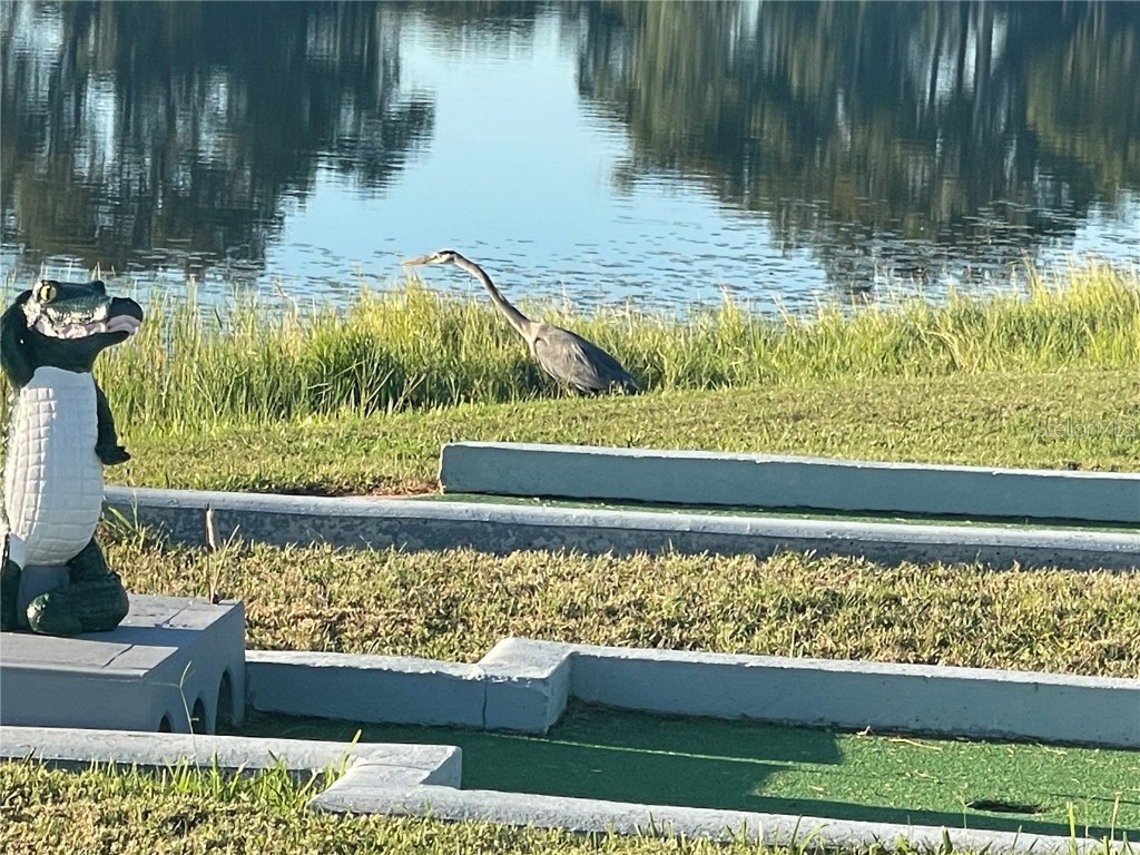 4179 Rolling Oaks Drive Winter Haven FL 33880 - Dinner Lake B4902100 image20