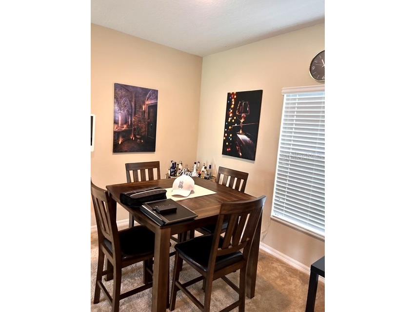 418 Blue Lake Circle Kissimmee FL 34758 S5146349 image5