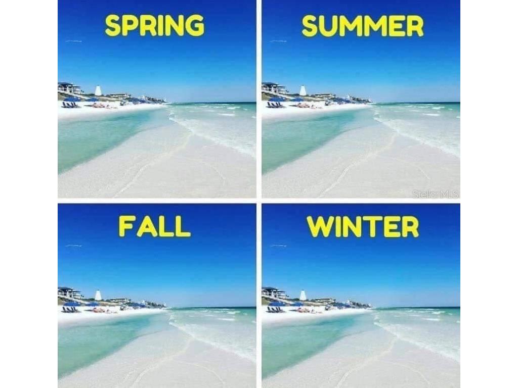 418 Cerromar Court #261 Venice FL 34293 N6141462 image63