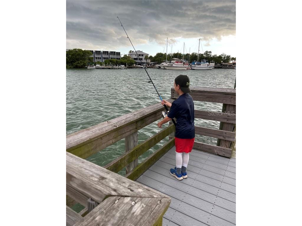 418 Cerromar Court #261 Venice FL 34293 N6141462 image66