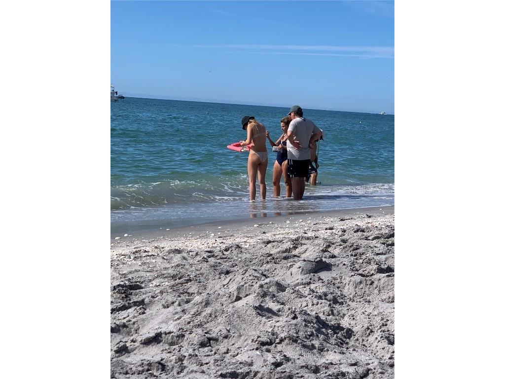 418 Cerromar Court #261 Venice FL 34293 N6141462 image73