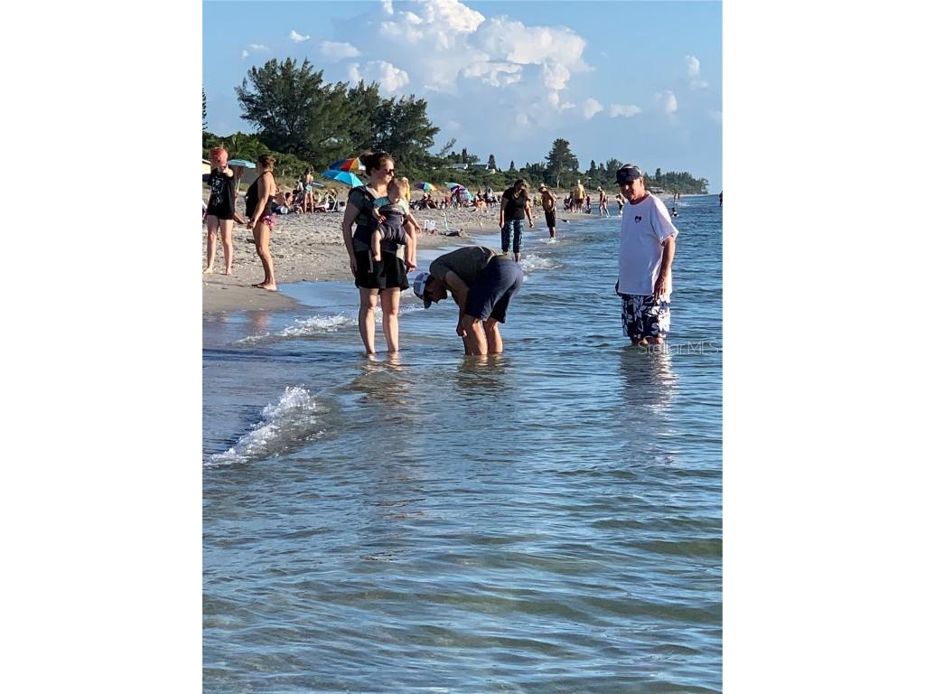 418 Cerromar Court #261 Venice FL 34293 N6141462 image74