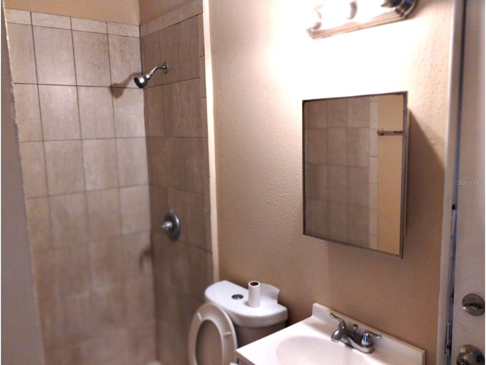 418 E Amelia Avenue #D Tampa FL 33602 TB8516661 image17