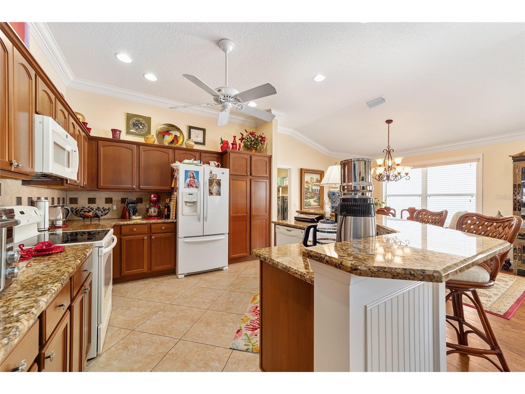 418 Flossmoor Court The Villages FL 32162 G5112799 image18