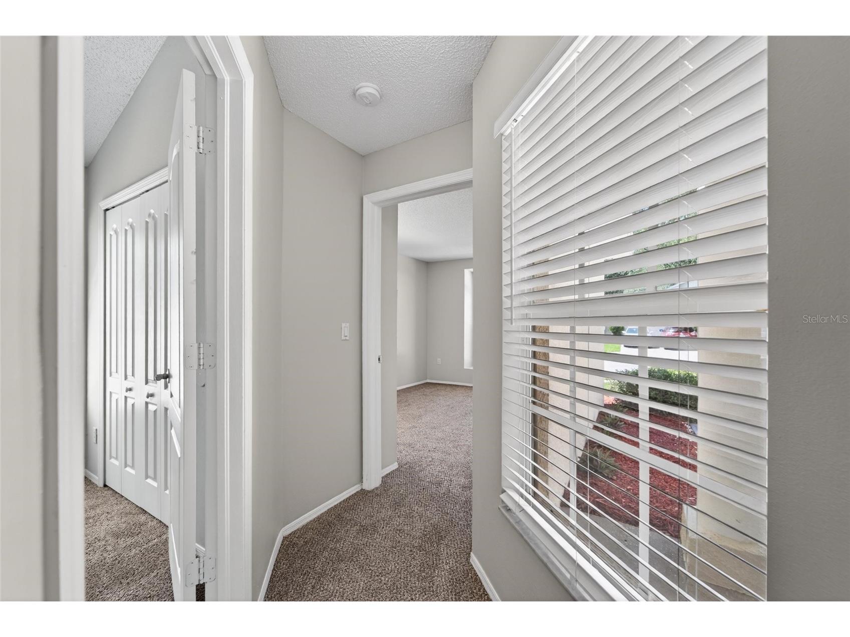 418 Henderson Avenue Seffner FL 33584 TB8514752 image15