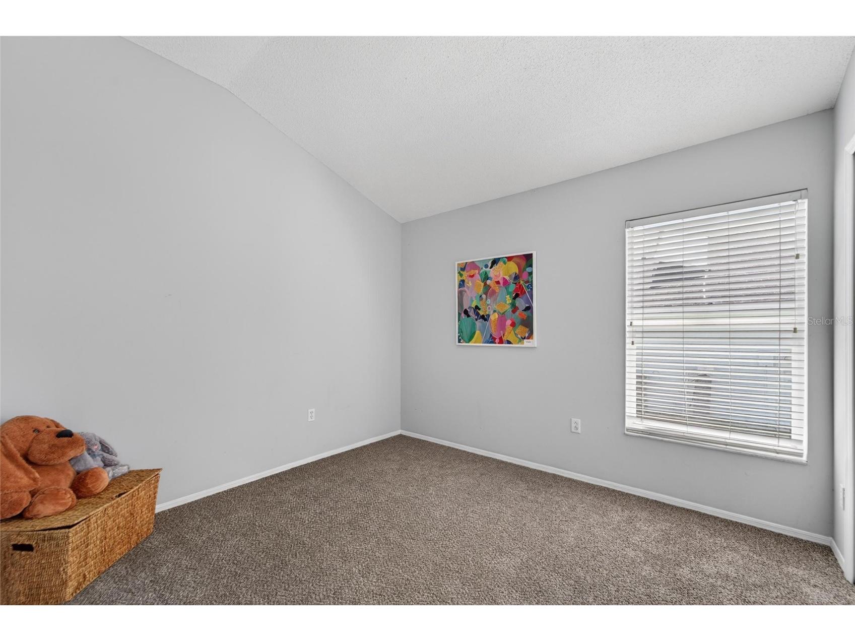 418 Henderson Avenue Seffner FL 33584 TB8514752 image22
