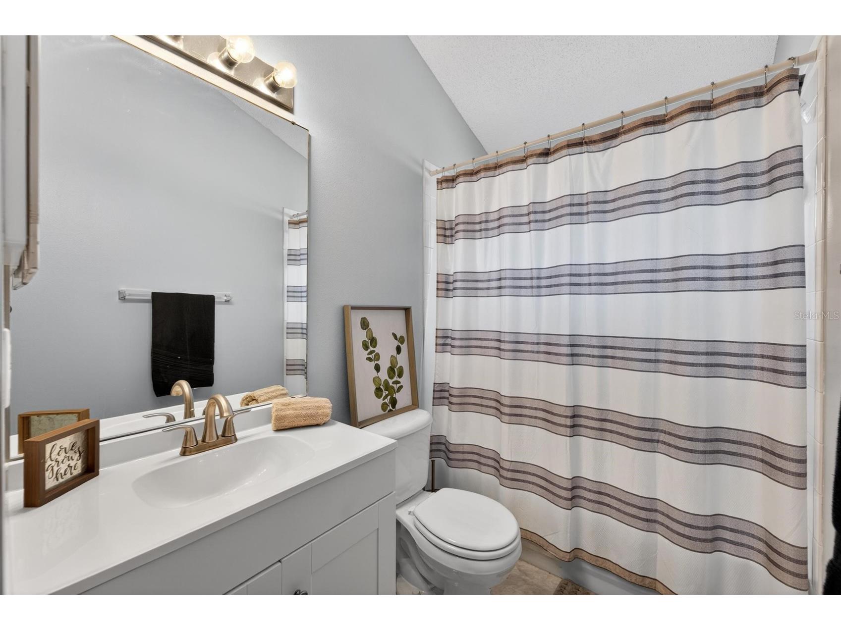 418 Henderson Avenue Seffner FL 33584 TB8514752 image25