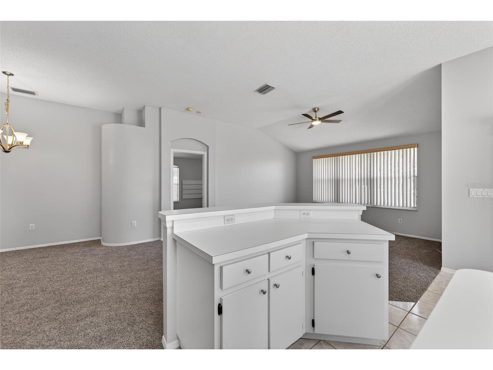 418 Henderson Avenue Seffner FL 33584 TB8514752 image39
