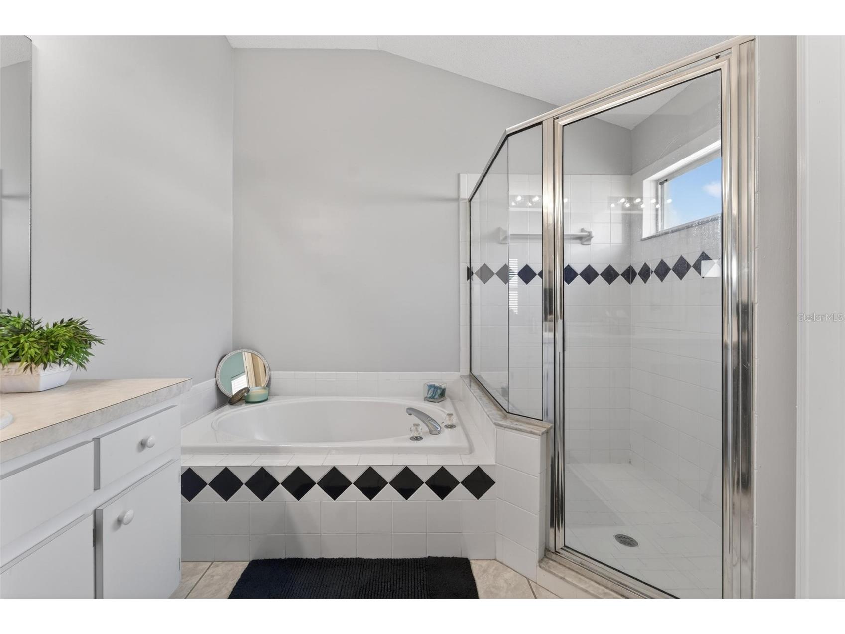 418 Henderson Avenue Seffner FL 33584 TB8514752 image59