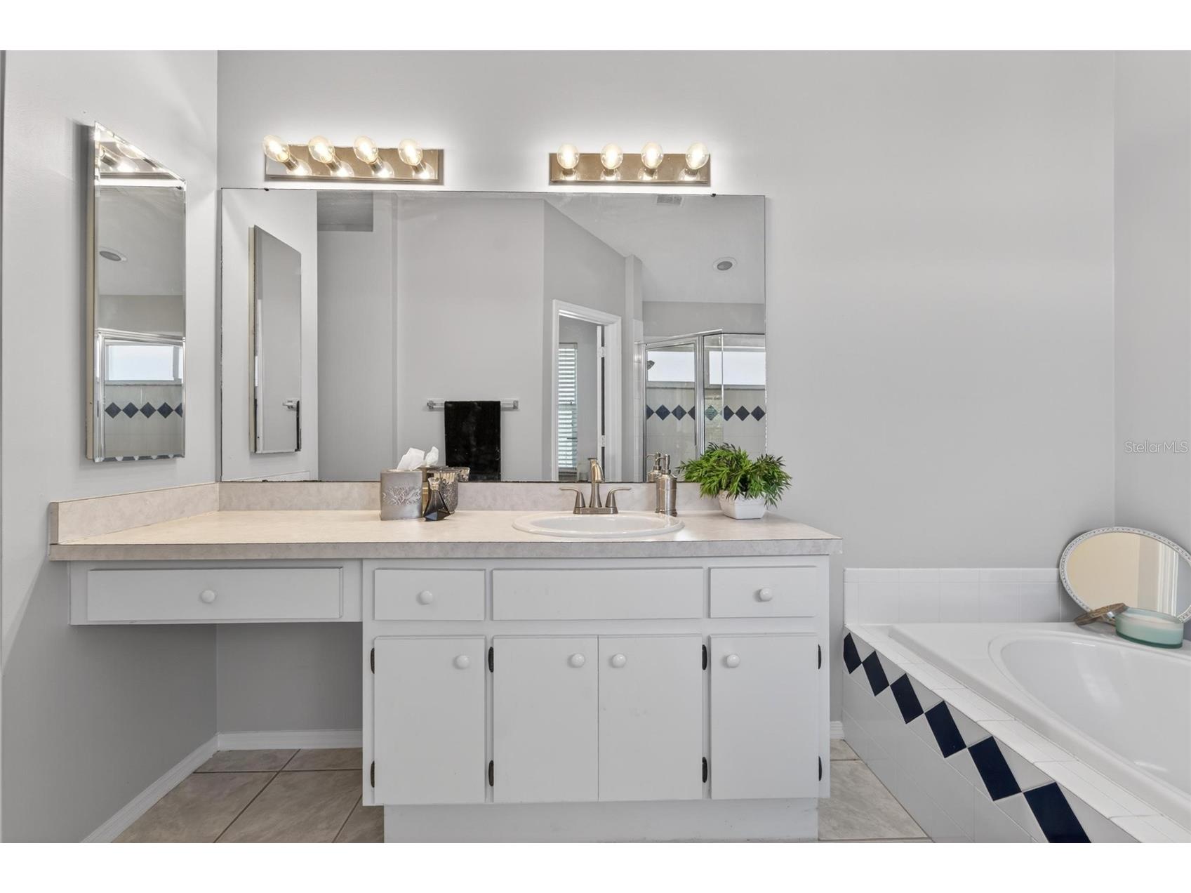 418 Henderson Avenue Seffner FL 33584 TB8514752 image60