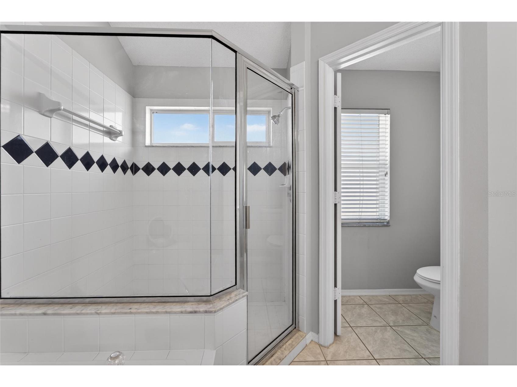 418 Henderson Avenue Seffner FL 33584 TB8514752 image61