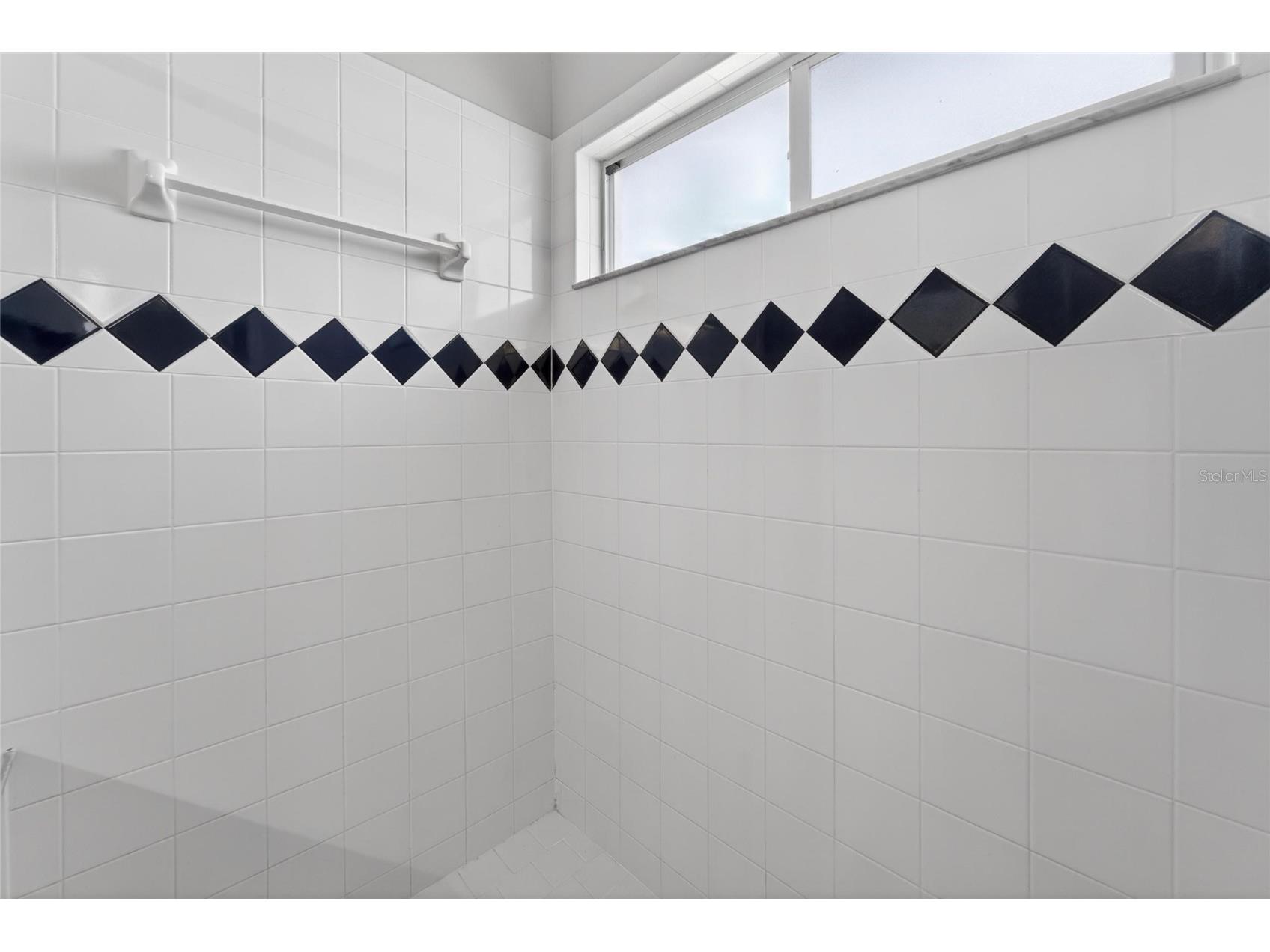 418 Henderson Avenue Seffner FL 33584 TB8514752 image62