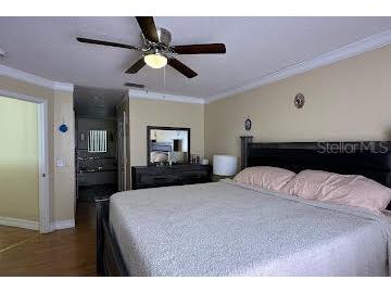 418 Marlberry Leaf Court Kissimmee FL 34758 S5145640 image49