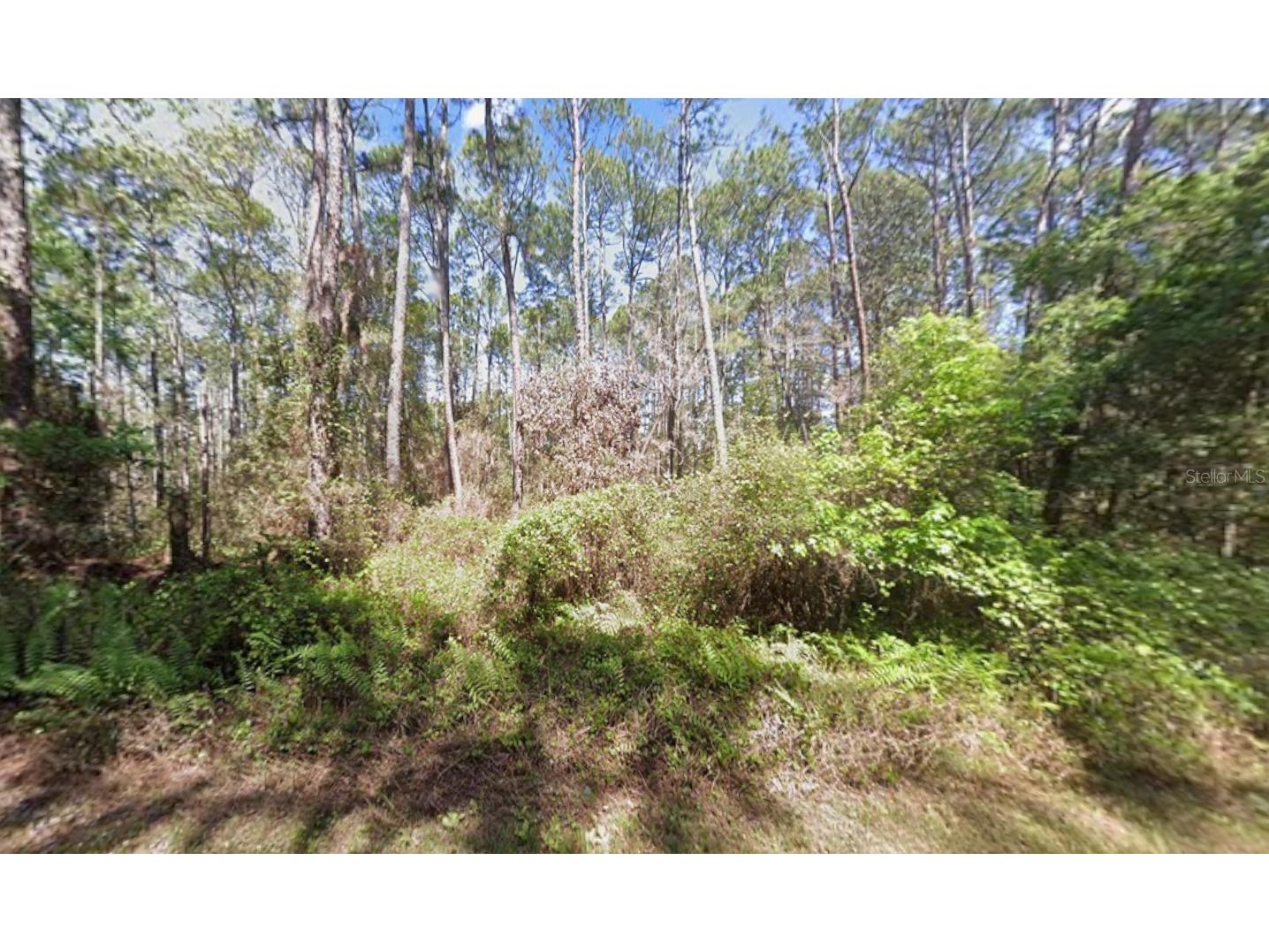 418 Palm Way Georgetown FL 32139 K4903338 image1