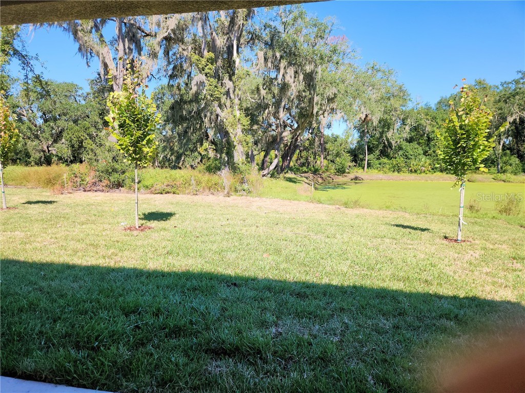 418 Shannon Estates Court Plant City FL 33563 TB8427402 image16