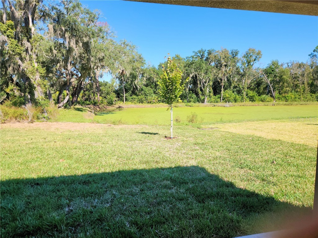 418 Shannon Estates Court Plant City FL 33563 TB8427402 image17