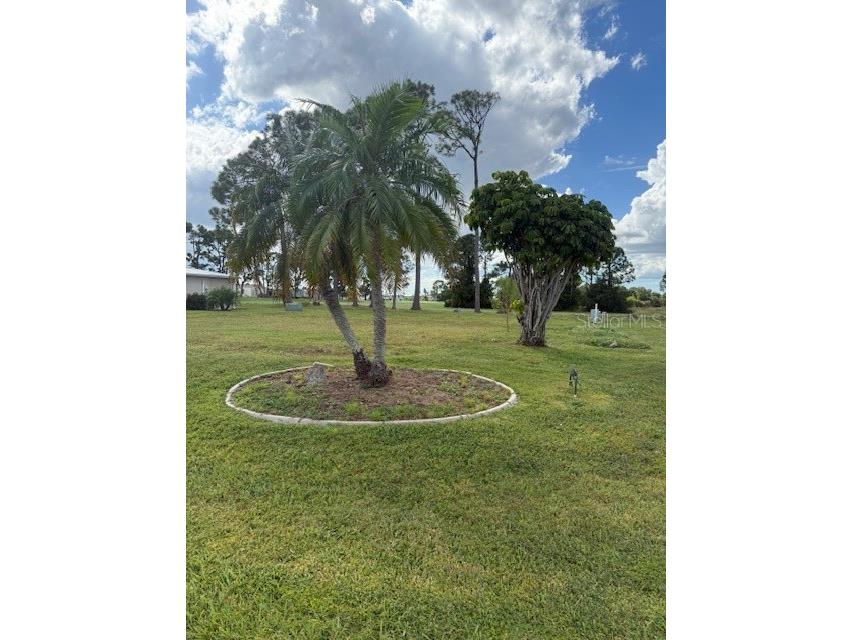 418 Vivar North Port FL 34287 TB8435964 image2