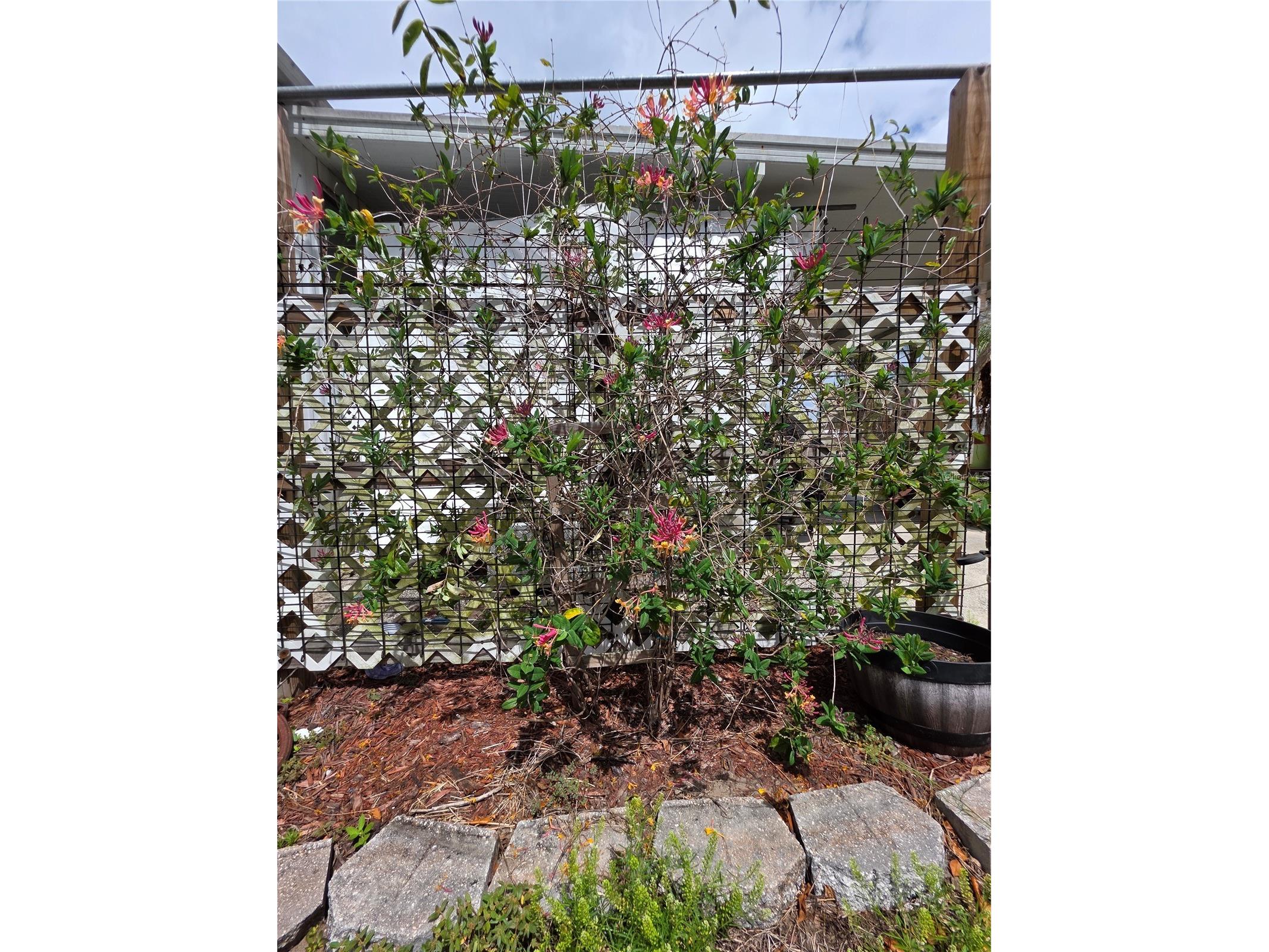 4180 Palm Drive Bartow FL 33830 TB8492344 image2