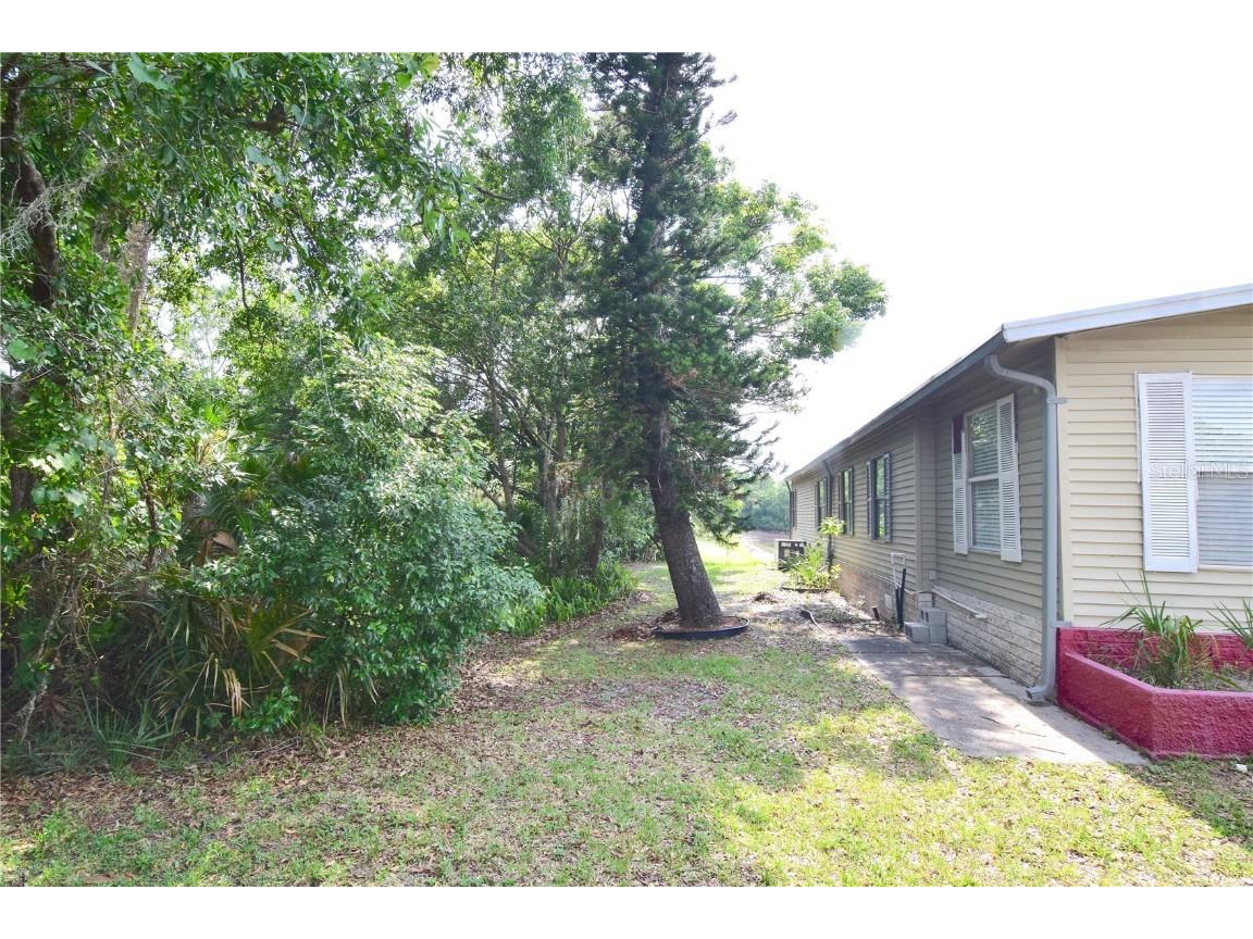 4180 Sugar Palm Terrace Oviedo FL 32765 O6311284 image3