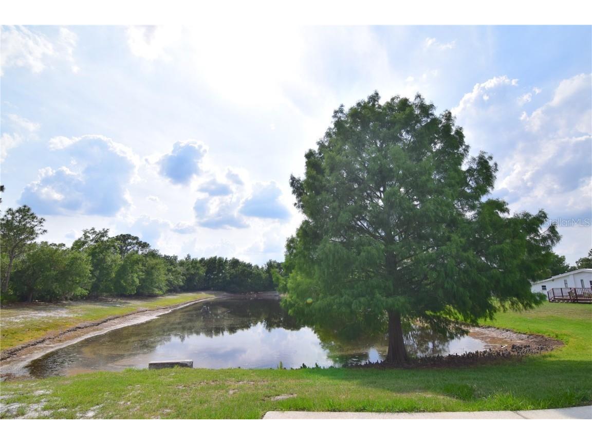 4180 Sugar Palm Terrace Oviedo FL 32765 O6311284 image7