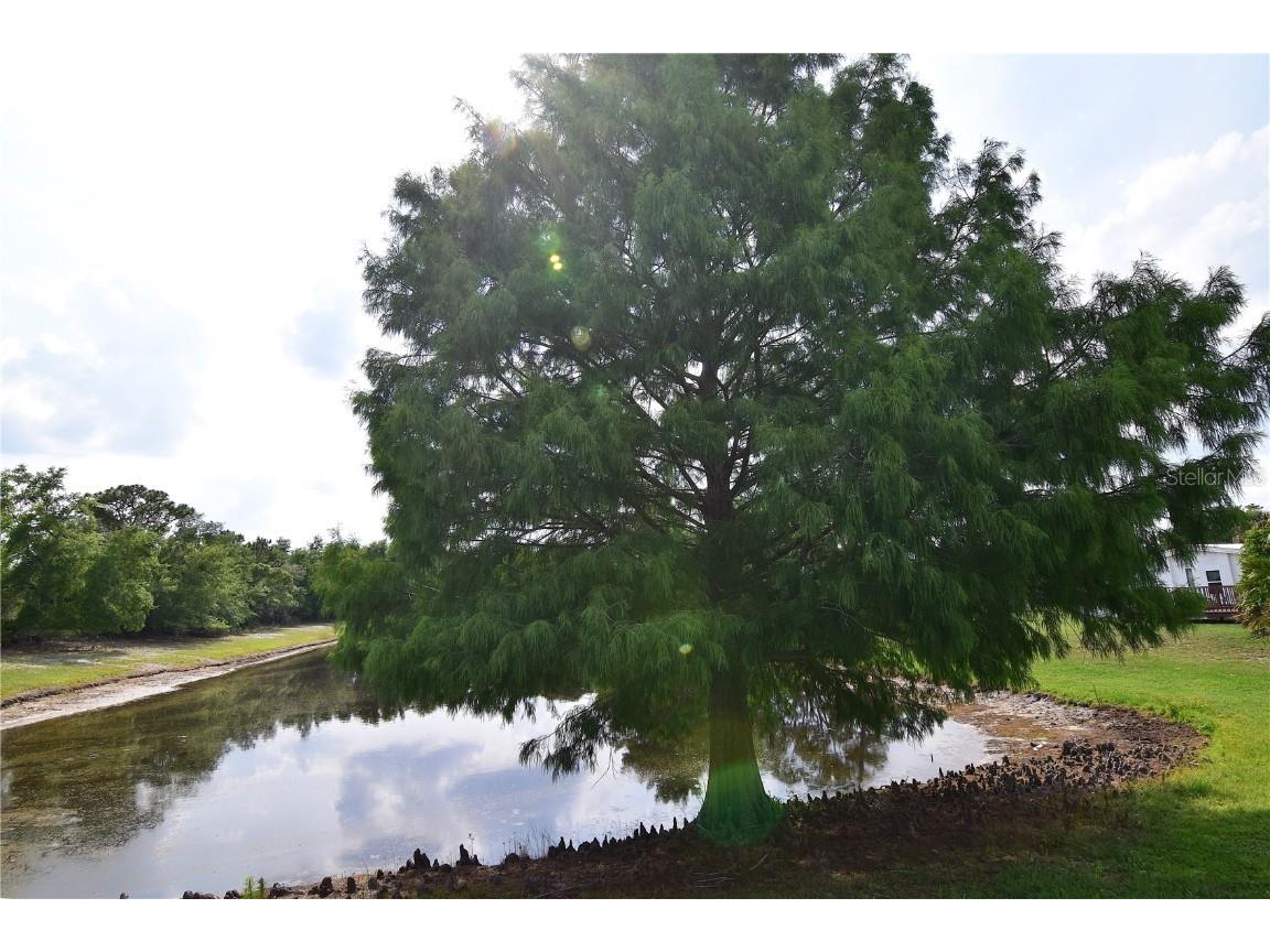 4180 Sugar Palm Terrace Oviedo FL 32765 O6311284 image8