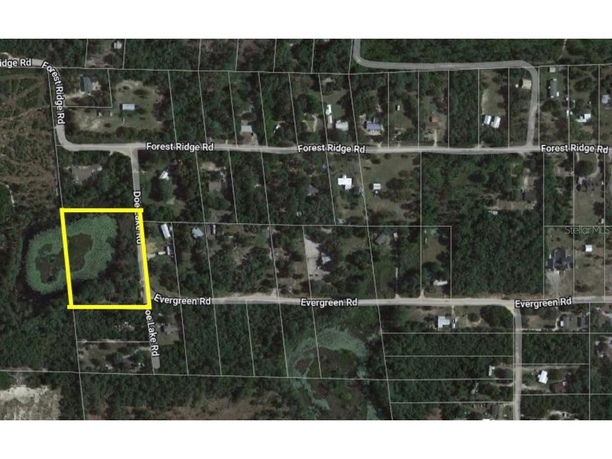 41807 Doe Lake Road Deland FL 32720 T3537526 image1