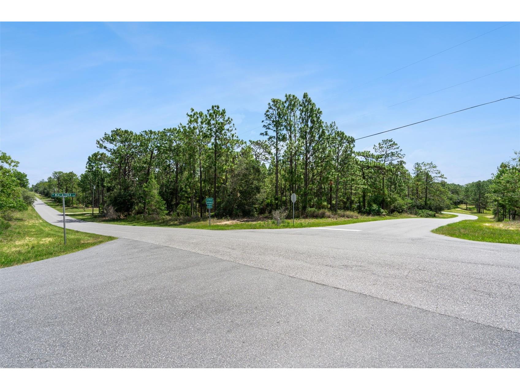 4181 W Malaluka Circle Citrus Springs FL 34433 O6419289 image1