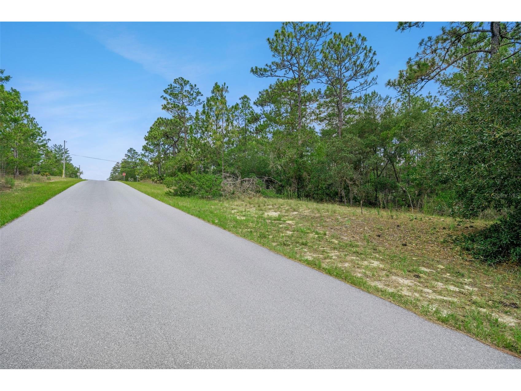 4181 W Malaluka Circle Citrus Springs FL 34433 O6419289 image3