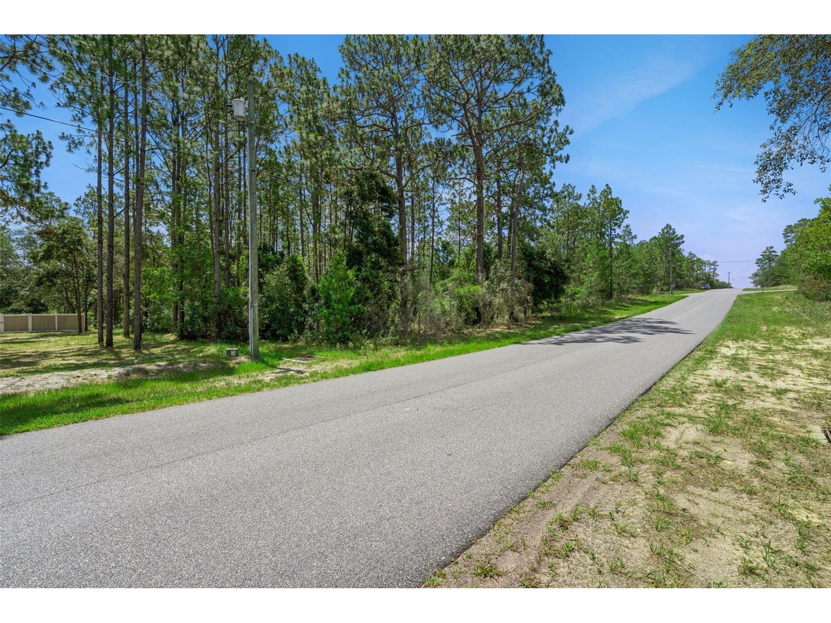 4181 W Malaluka Circle Citrus Springs FL 34433 O6419289 image4