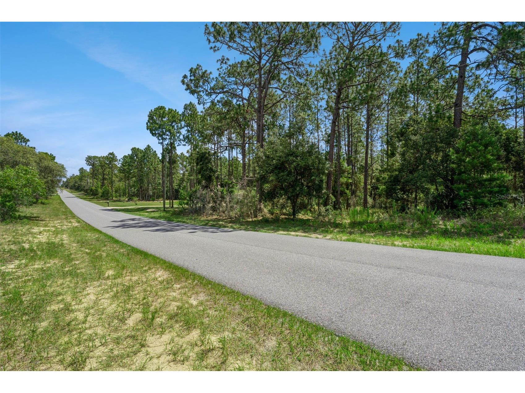 4181 W Malaluka Circle Citrus Springs FL 34433 O6419289 image5