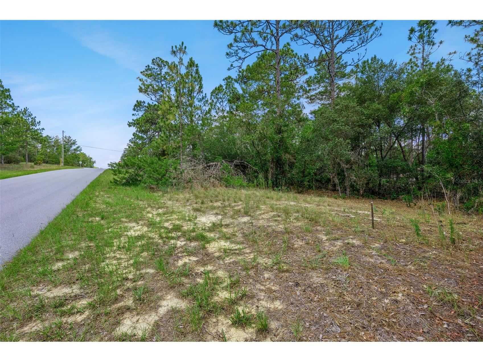 4181 W Malaluka Circle Citrus Springs FL 34433 O6419289 image6