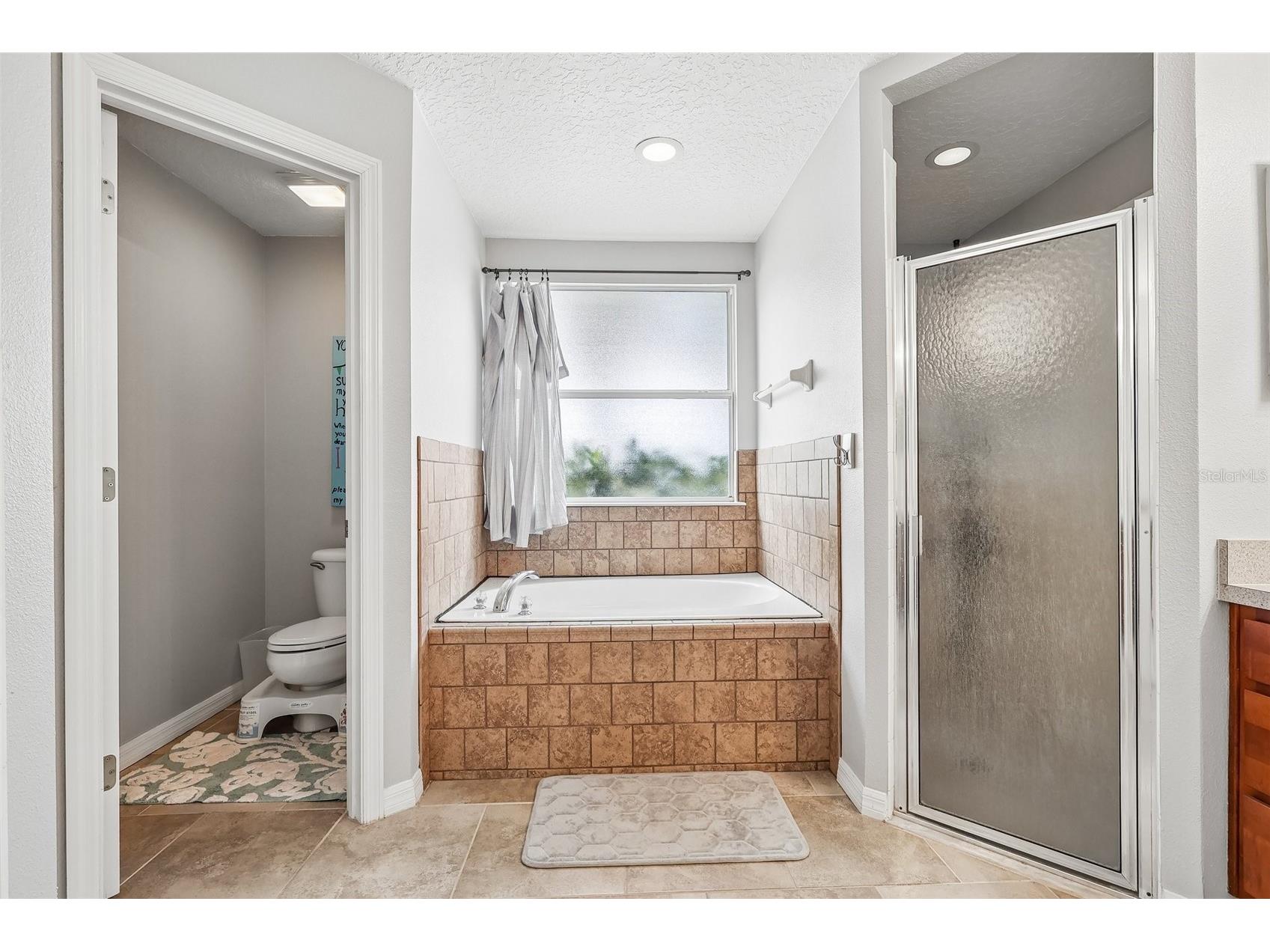 4181 Waltham Forest Drive Tavares FL 32778 G5112983 image23