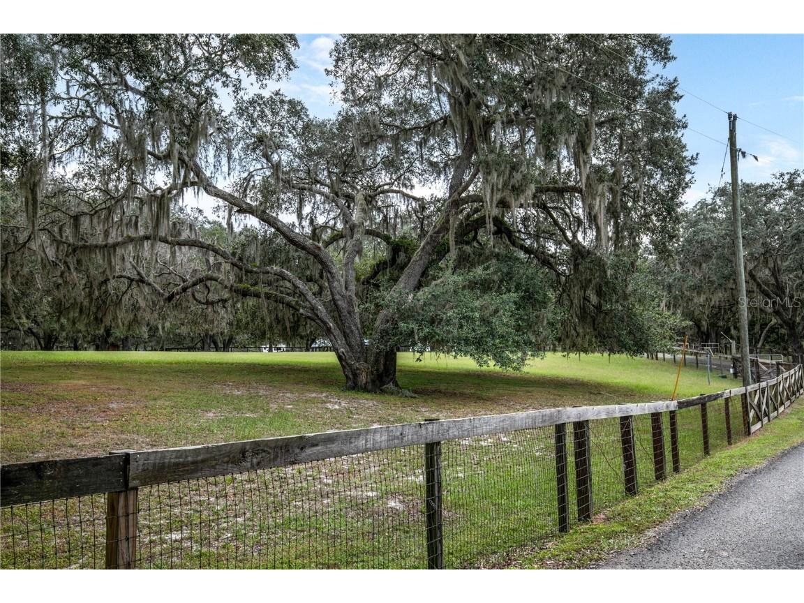 41812 Catbrier Lane Umatilla FL 32784 G5102848 image10