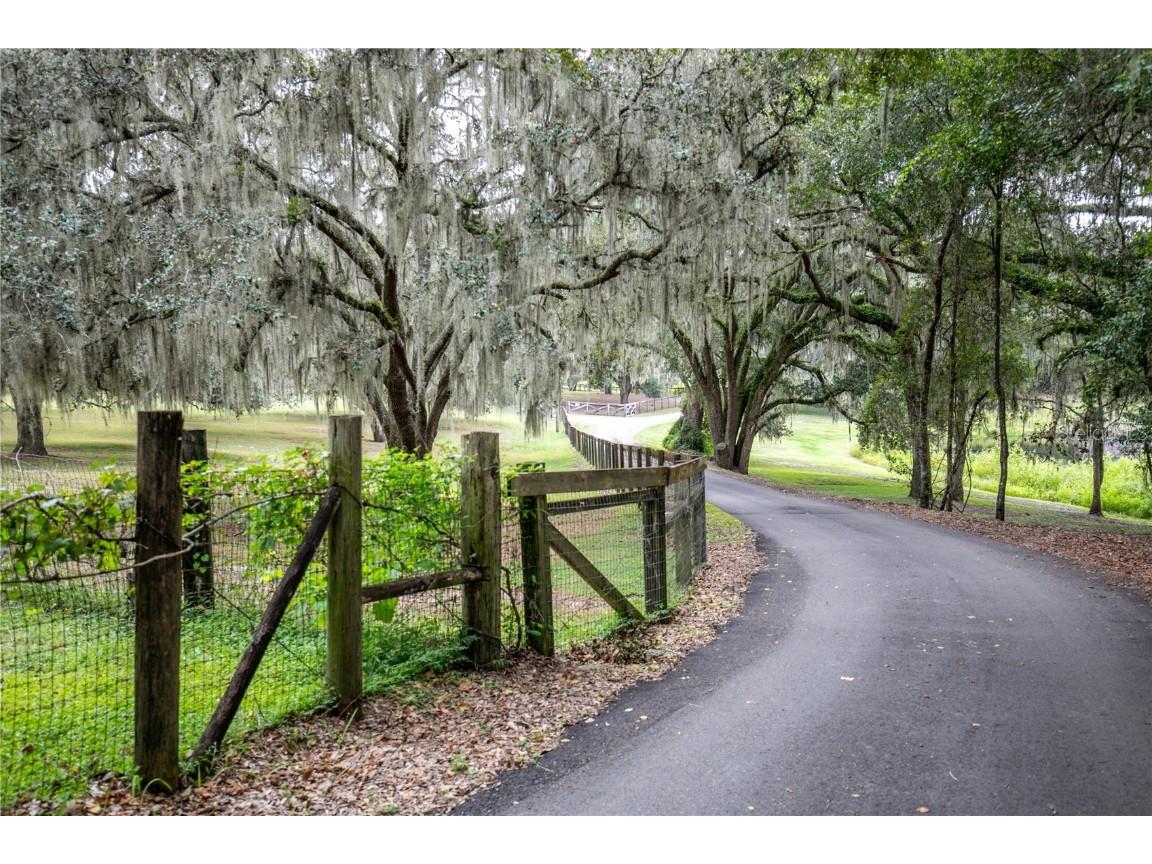 41812 Catbrier Lane Umatilla FL 32784 G5102848 image4