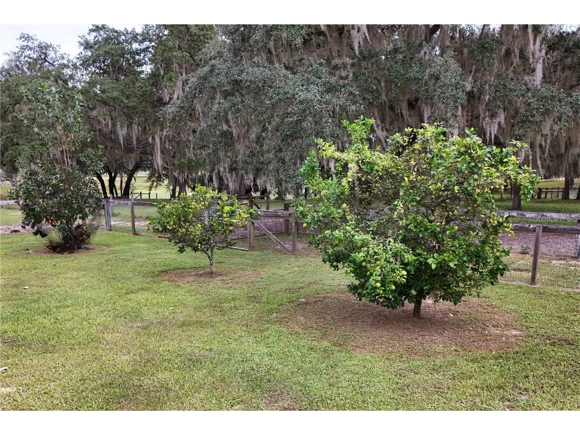 41812 Catbrier Lane Umatilla FL 32784 G5102848 image55