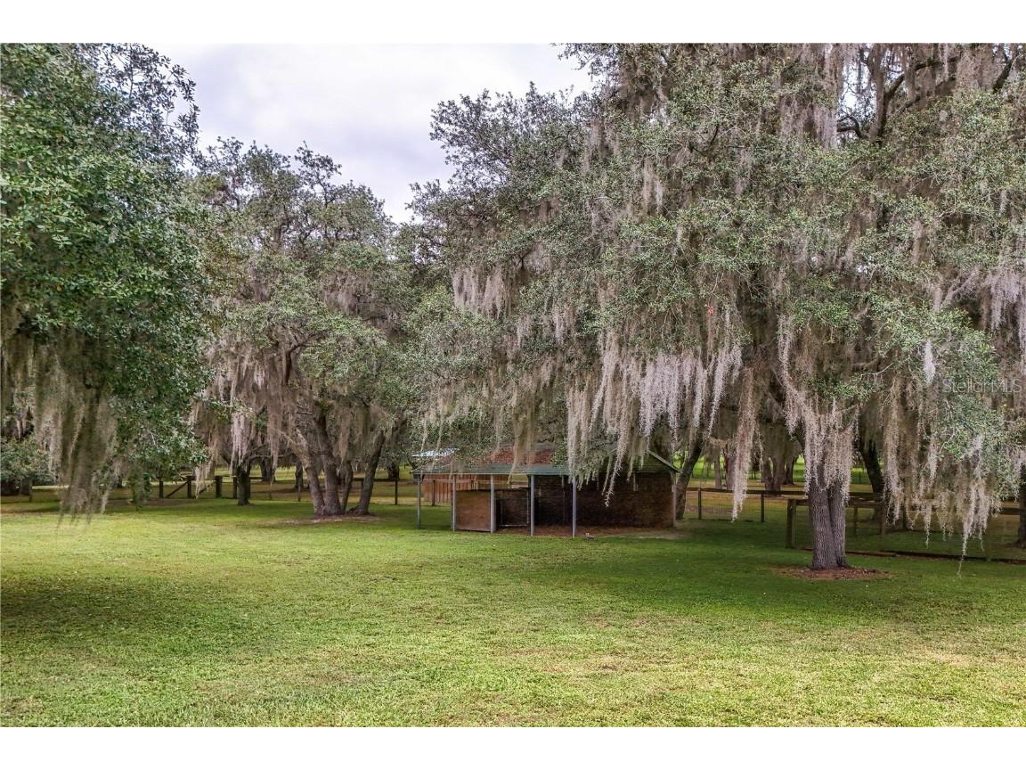 41812 Catbrier Lane Umatilla FL 32784 G5102848 image58